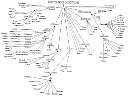 How To Find Lost Languages Chapter 7 The Wonders Of Language