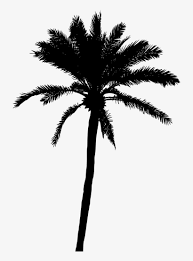 Palm tree silhouette svg eps dxf png ai. Palm Tree Png Palm Tree Silhouette Png Transparent Png 712x1024 Free Download On Nicepng