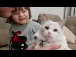 Fatih Selim In Sevimli Kedisi Paki Fatih Selim Onu Sevmek Istiyor Ama Paki Hep Kaciyor Youtube