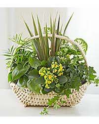 We did not find results for: Modern Flowers Delivery Staten Island Ny Buds Blooms Florist