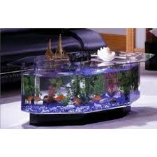 680 Stretched Octagon Aquarium Coffee Table Fish Tank Coffee Table Aquarium Coffee Table Fish Tank Table