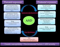 The abilities and needs of people with autism vary and can evolve over time. Putative Autism Spectrum Disorder Asd Related And Environmental Download Scientific Diagram