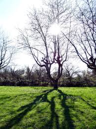 Wetter und klima in der mediathek. Wetterprognose April 2021 Mittels Der 12 Rauhnachte