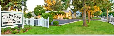 The pet doctor provides care for a wide range of pets. The Cat Doctor Veterinary Hospital Hotel