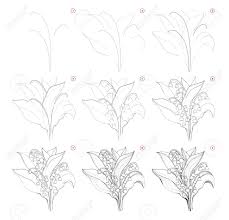 It will be the basis we'll use further. How To Draw Beautiful Bouquet Of Lily Of The Valley Flowers Creation Step By Step Pencil Drawing Educational Page For Artists School Textbook For Developing Artistic Skills Hand Drawn Vector Royalty Free Cliparts