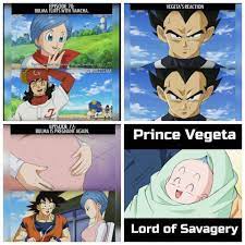 Pin On Dragon Ball Couples