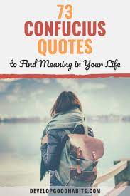 More holidays more fun at home funny quotes book online. 73 Confucius Quotes To Find Meaning In Your Life Confucius Quotes Confucius Quotes Funny Ancient Words