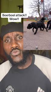 Boerboel Bite Breaks Bones