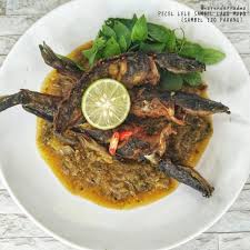 Asam pedas (indonesian and malay: Resepi Opor Ikan Lele Pawtaste Com