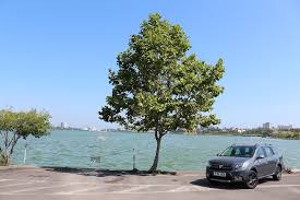 Dacia a anunțat azi modelul din titlu. Dacia Logan Mcv Stepway Varianta OptimÄ Autoreport