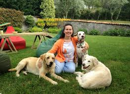 Pozitif Kopek Egitimi Nese Ozturk Tuvalet Egitimi Yavru Ve Yetiskin Kopeklerde Kopek Egitimi Kopek Labrador Retrievers
