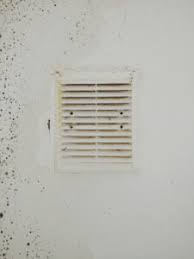 Remember, a powered roof vent still requires sufficient intake air if it has any hope of properly venting the attic space. How To Prevent Mold In Air Ducts Bms Cat