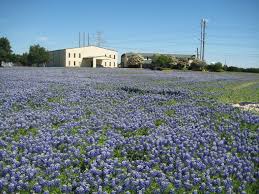 It's because we have the very best drivers who know the ins and outs of cedar hill. Photo Gallery Cedar Hill Civicengage