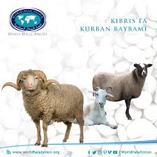 Butun Islam Aleminde Oldugu Gibi Kuzey Kibris Ta Da Kurban Bayrami Eskiden Beri Coskulu Bir Sekilde Kutlanmaktadir Oncelikle Kurbanlik Ha Animals World Halal