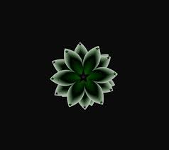 Flower hd wallpapers for for android, iphone, desktop. Green Black Flower Wallpaper Download To Your Mobile From Phoneky