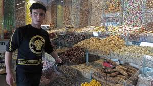Fruit trees for sale to western europe. Fruit Trees Chilgoza Dry Fruit Tree
