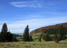 Albschafer Zeitspuren Meteorkrater Rundwanderweg Steinheimer Becken Gps Wanderatlas