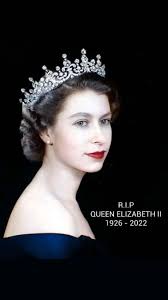 Smokem If U Gottem (@SmokemIfUGottem)