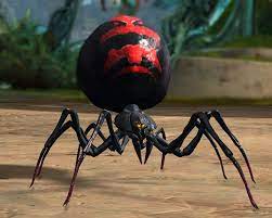 All together there are around six different species of black widows and all of them are venomous. Juvenile Black Widow Spider Guild Wars 2 Wiki Gw2w
