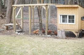 This coop is appropriate for four free range chickens, perfect for providing eggs for a small family. How To Use Garden Herbs To Keep Your Chicken Coop Happy