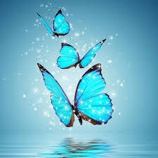 The blue morpho butterfly is a tropical butterfly which is seen in south and central america. Flying Butterfly Wallpapers Top Free Flying Butterfly Backgrounds Wallpaperaccess