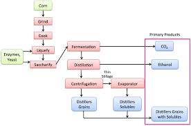 7 3b How Corn Is Processed To Make Ethanol Egee 439