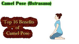 The opening of the heart chakras, on the other hand, fills life with love, beauty, and compassion, and helps to garner the health benefits of ustrasana you need to incorporate the practice of the pose into your daily exercising regime. Free Download Camel Pose Yoga Ustrasana Top 16 Benefits Of This Pose Mp3 With 03 25