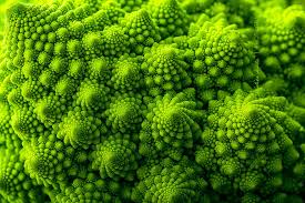 The Symmetry Of These Geometrical Plants Fractals In Nature Geometry In Nature Patterns In Nature