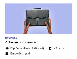 Le programme attaché commercial s'articule autour de 4 blocs de formation dédiés à l'organisation commerciale, la prospection, la négociation et la gestion de son portefeuille clients. Pourquoi Devenir Commercial Les 10 Bonnes Raisons