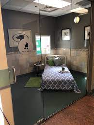 Traveling with pets has never been easier. Pet Hotel Near Me The Y Guide