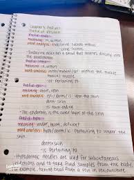 Essential Medical Terminology Notes: Understanding Prefixes