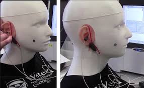 Learning Amplification with CARL: A New Patient Simulator