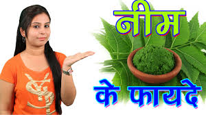 Image result for nim ke patte ke fayde