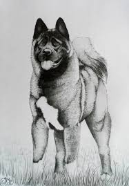 Black And White Akita American Akita By Sadlion Deviantart Com On Deviantart With Images American Akita Akita Dog Akita