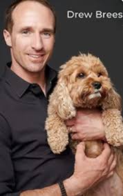 Please read my site carefully. Petit Jean Puppies Goldendoodles Cavapoos Cavapoochons