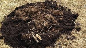 Figuring out the amounts of products to be used in your compost pile for optimal composting and a great end result. Organic Matter And Soil Amendments University Of Maryland Extension