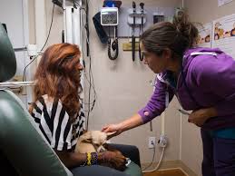 Insight Special Coverage: Homeless For The Holidays - capradio.org