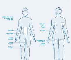 Front of both parietal lobes, processes sensory information su… occipital lobe, receives and processes visual information. Losing Fat Vs Losing Weight Coolbody Of Idaho By Rejuv Medspa