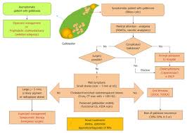 therapy of gallstone disease what it was what it is what