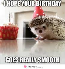 I Hope Your Birthday Goes Really Smooth Happy Birthday Meme Funny Happy Birthday Meme Sarcastic Birthday Wishes