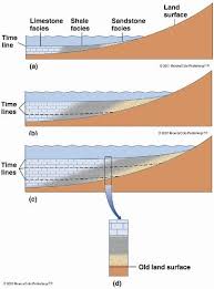 Geology In How To Identify Transgression And Regression In A Sedimentary Outcrop Geology Physical Geography Earth Science