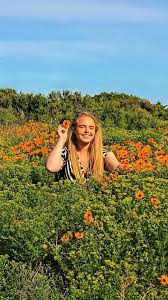 Image result for Priva curtisiae