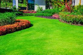 If you're considering hiring lawn care maintenance in flowery branch, then consider these benefits that you'll. Lawn Care Dallas Tx Landscaping Lawn Mowing Edging
