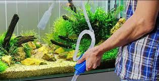 We use minimal amount of glue for a distraction free clean look, yet maintaining the highest safety standards. Panduan Cara Merawat Aquascape Agar Indah Dan Subur Maksimal Atagaleri Net