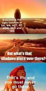 Many online reacted with concern, posting memes expressing a desire for revenge and action against the virus. Lion King Memes Gifs Imgflip