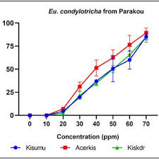 Image result for Euclasta condylotricha
