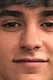 Boy, 17, died instantly in fall