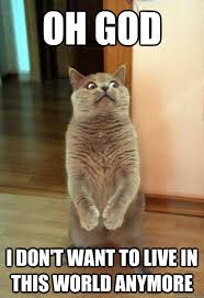 Oh God I Don T Want To Live In This World Anymore Horrorcat Quickmeme