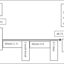 Flow Chart Depicting The Time Frame Of The Study Download