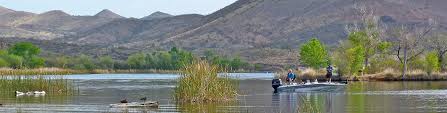 In lake mead you can find many different fish species including some rainbow trout, bluegill, crappie, striped bass, largemouth bass, and channel catfish too. Fishing In Arizona Arizona State Parks